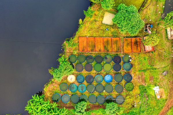 Farm Pond Scheme: Proven Solution for Irrigation Needs