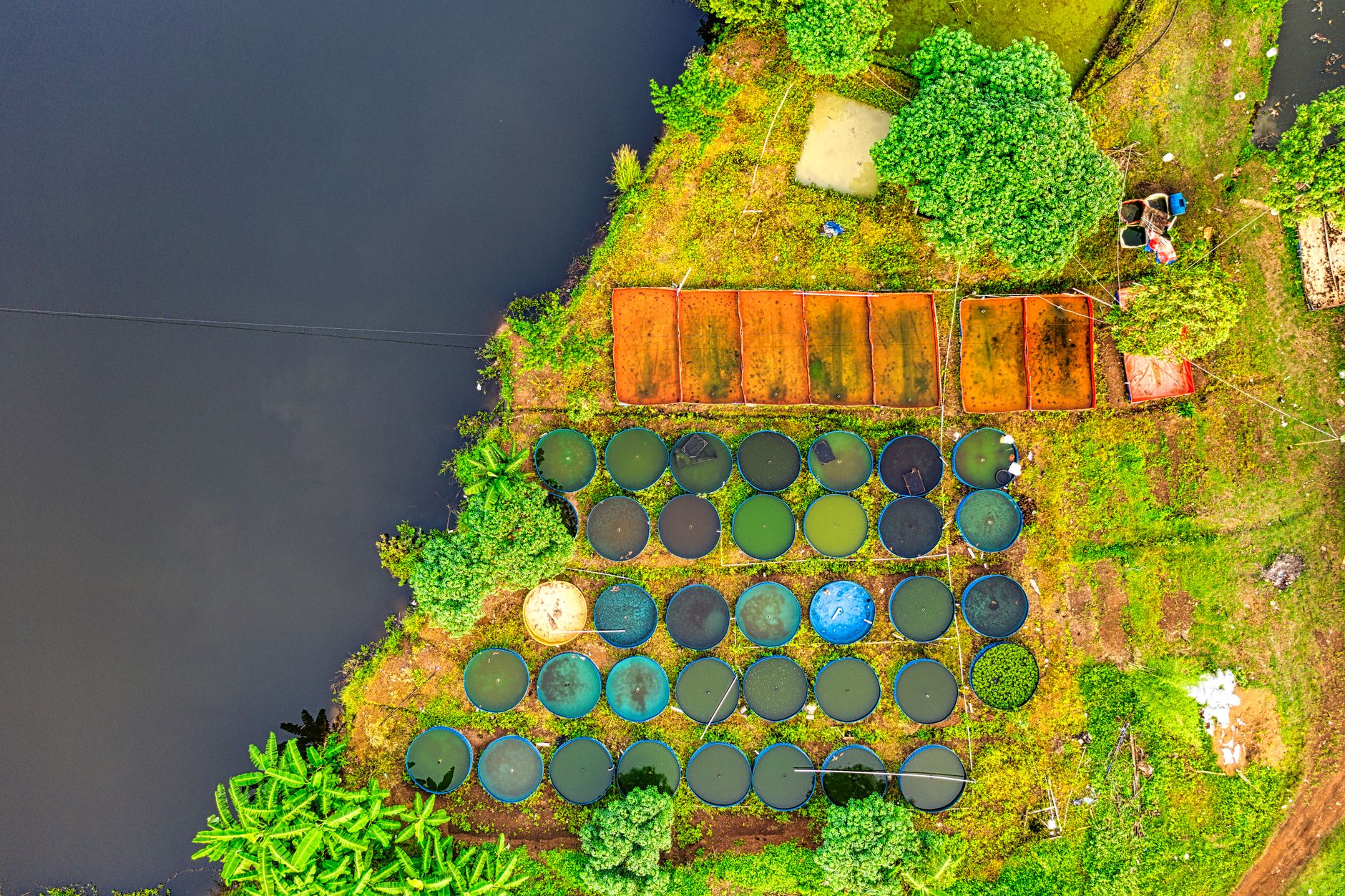 farm pond scheme