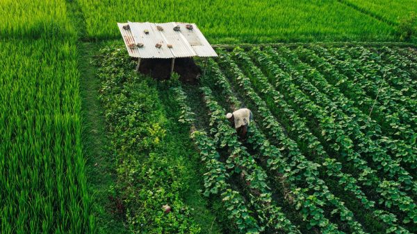 Flagship schemes agriculture: What are the proven benefits?