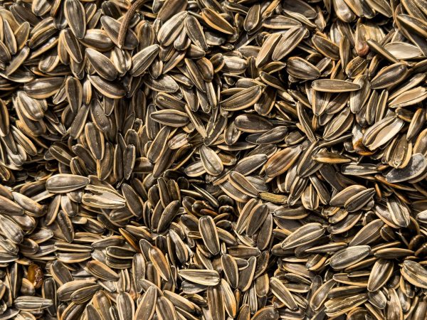 GGT Foods Seeds Range: Best Easy Options for Healthy Snacking