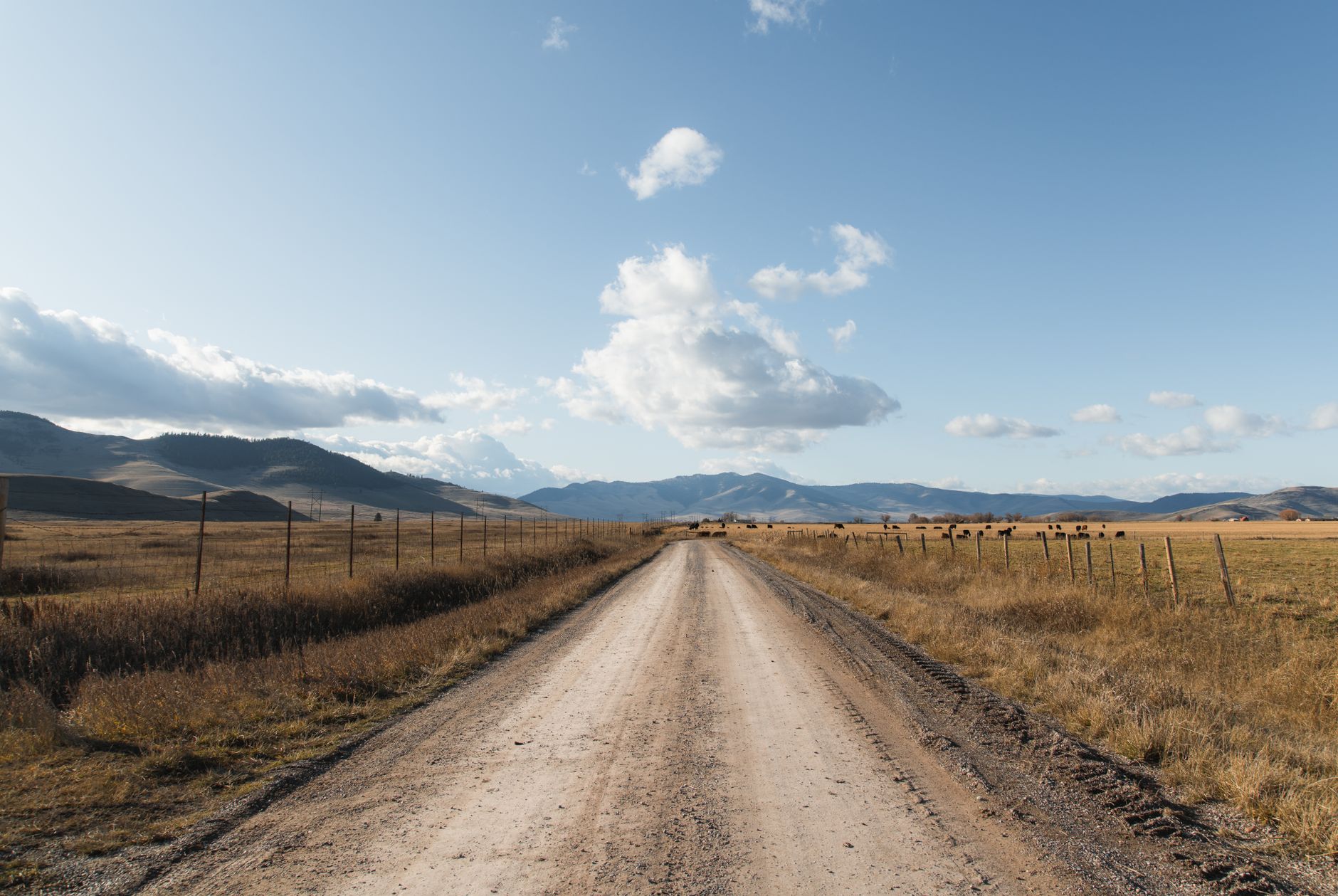 grassland restoration drive
