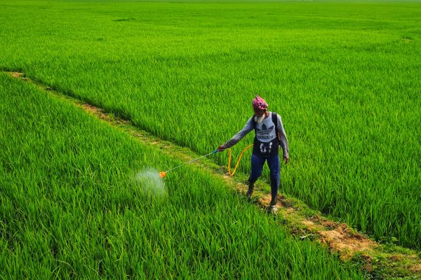 India Agrochemical Industry’s Smart Scheme to Reduce China Dependence
