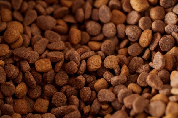 Is Premium Pet Food Worth the Cost? Proven Benefits Explained