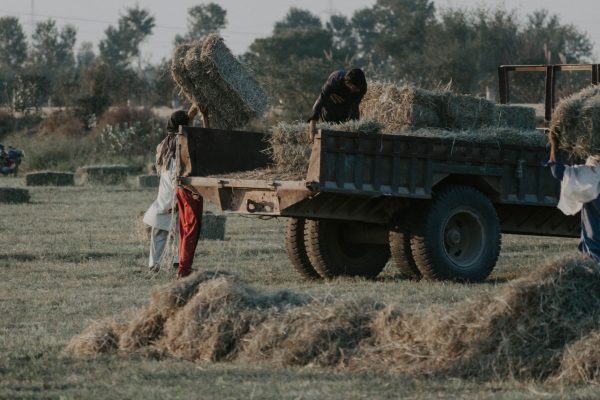 Agri schemes portal: Is It the Best Tool for Farmers?