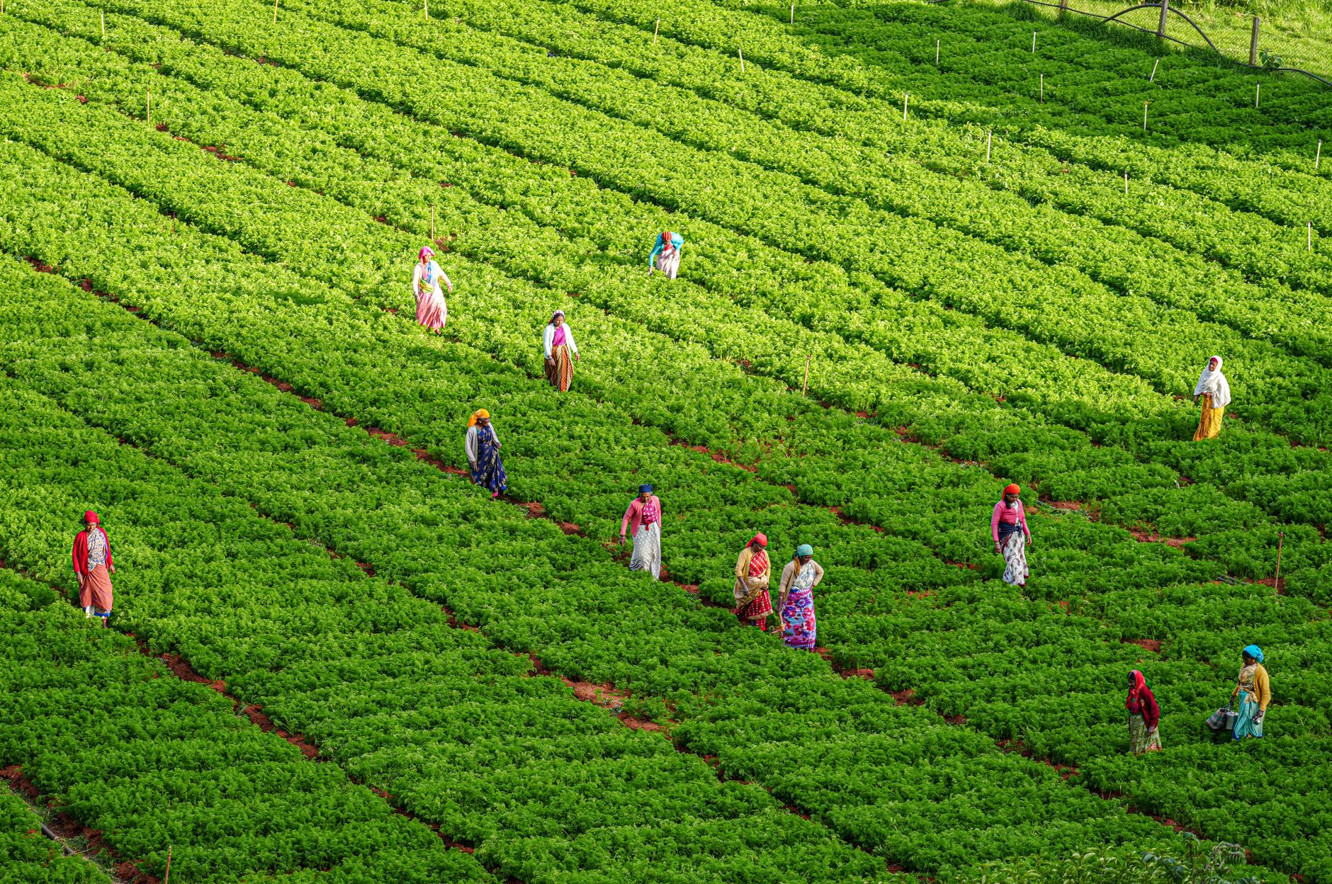 Agriculture Department Schemes