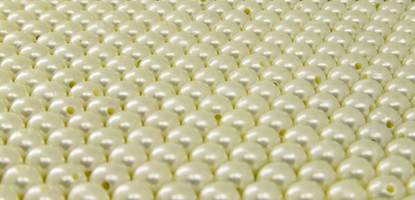Bihar Pearl Farming: Proven Benefits for Farmers Training