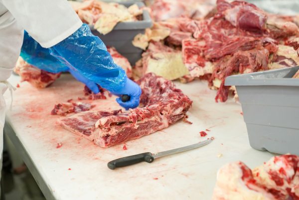 Butcher’s Naturals jerky treats: Are They the Best Choice?