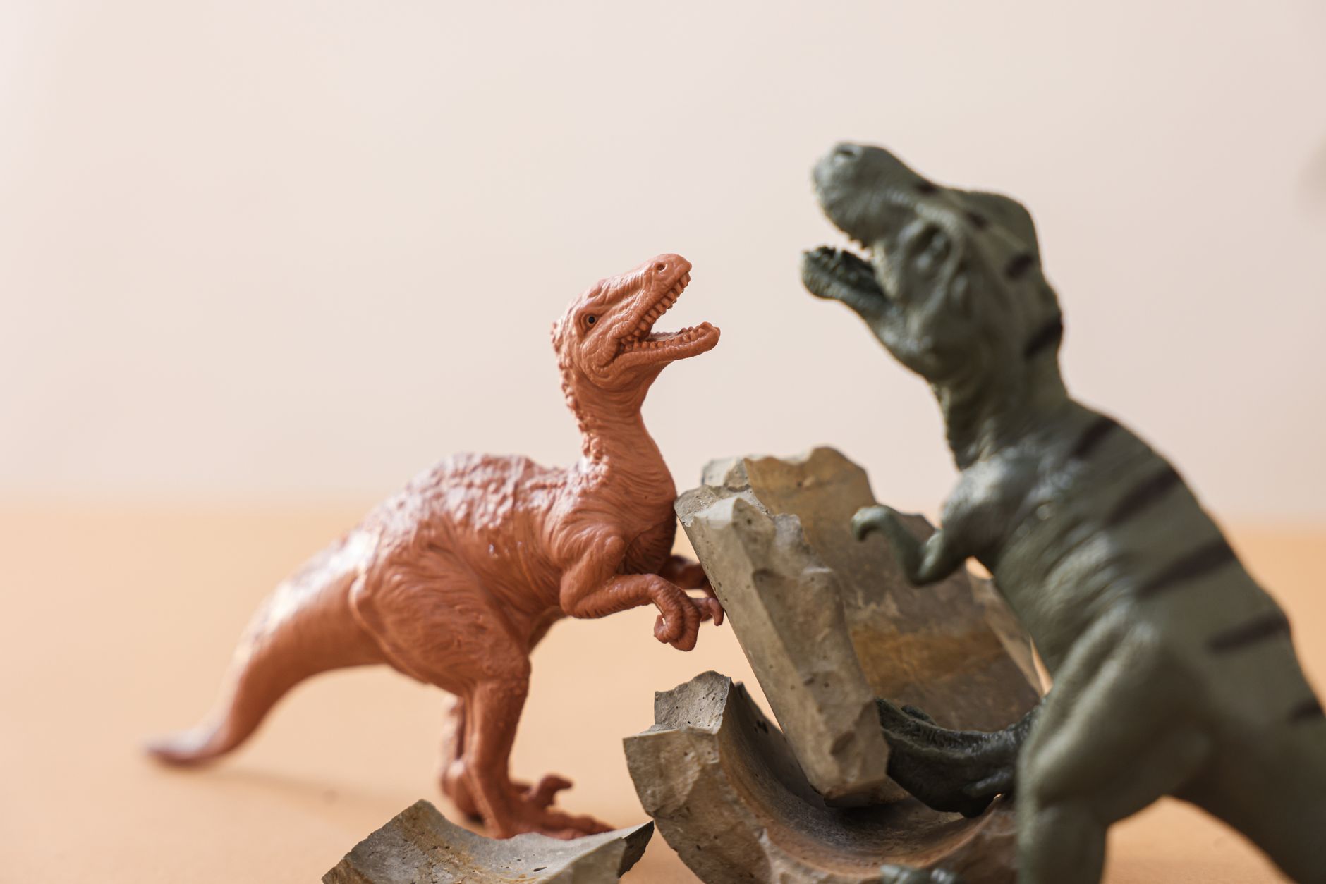 Dino eggs launch