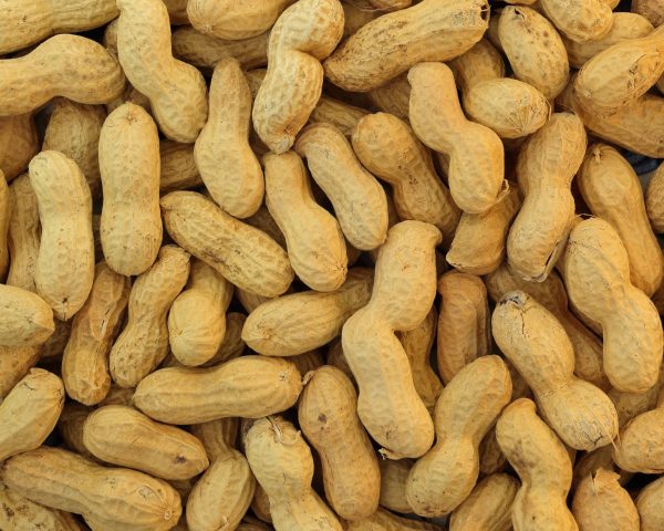 Is the Functional Snacking Portfolio the Best Choice for You?