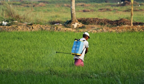 Kisan Kalyan Portal: Easy Access to Government Schemes