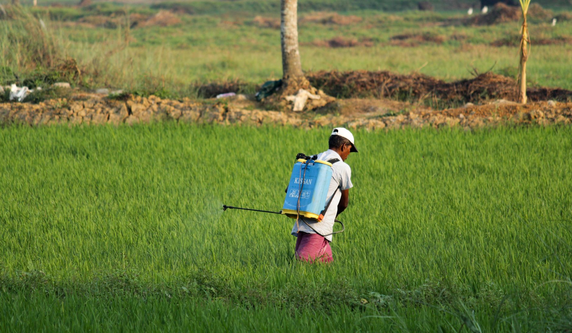 Kisan Kalyan Portal