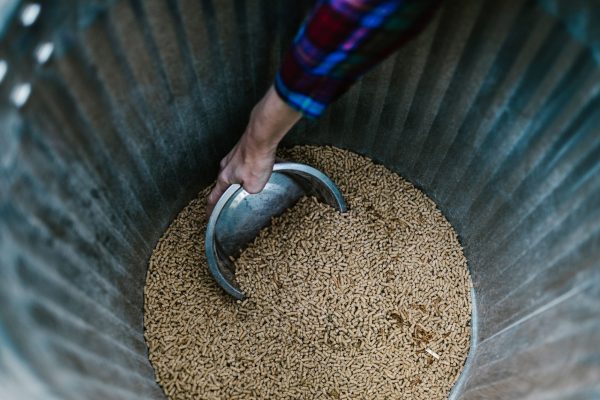Pelleted forage products: Are they the best choice for horses?